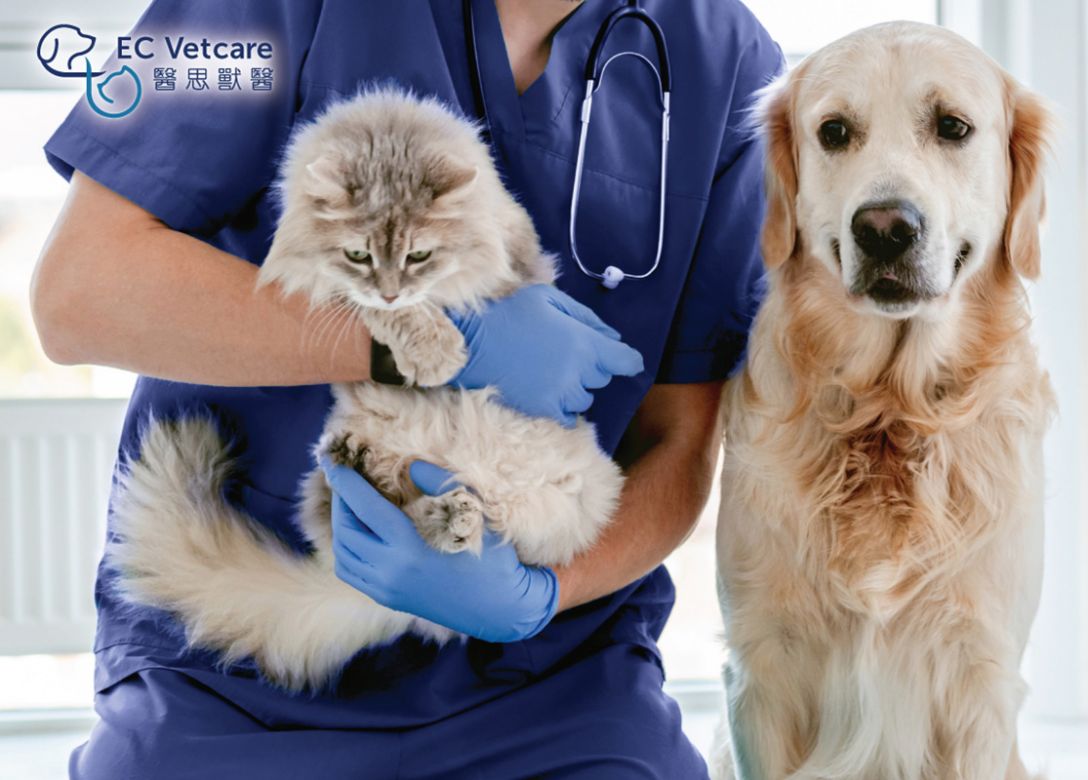 EC Vetcare – AMAH